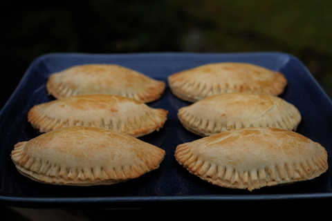 Mushroom empanadas